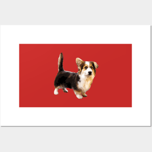 Cute Corgi Puppy Dog Posters and Art